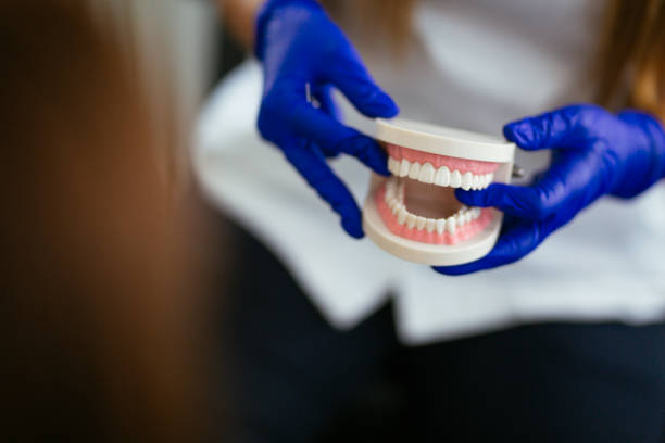Best Dentures (Full and Partial)  in St Charles, MN